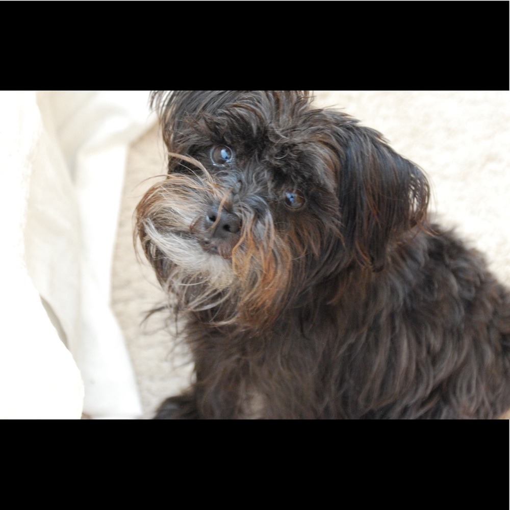 Meet your Posher, Mary